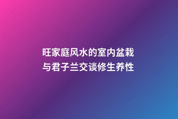 旺家庭风水的室内盆栽 与君子兰交谈修生养性